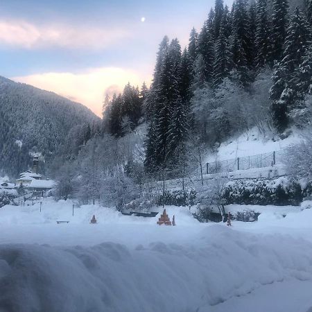 Holidays Dolomiti Apartment Resort Carisolo Exteriör bild