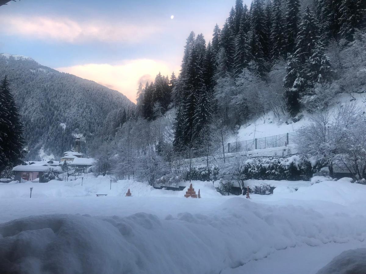 Holidays Dolomiti Apartment Resort Carisolo Exteriör bild