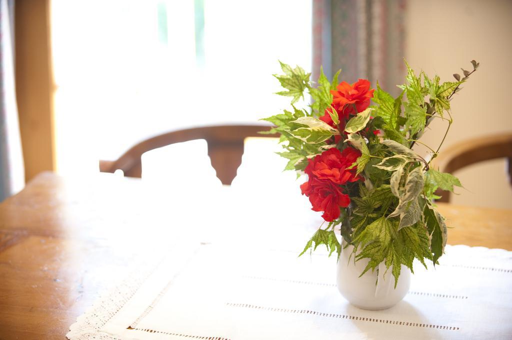 Holidays Dolomiti Apartment Resort Carisolo Rum bild